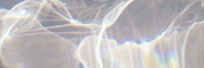Morgan_cabra's profile banner image