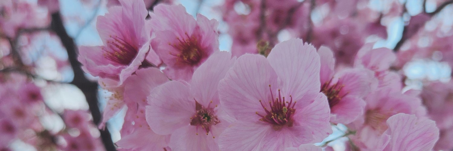 camomi__'s profile banner image