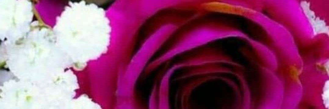 H22H223's profile banner image