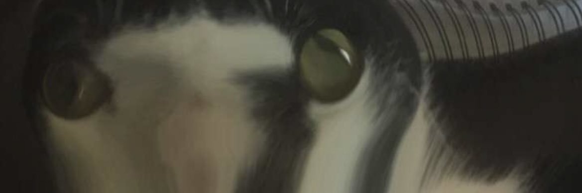 Disas_terpiece's profile banner image