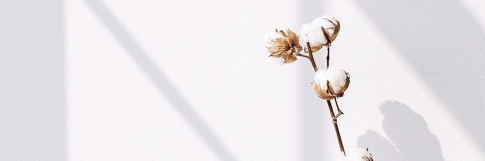 MS_36j's profile banner image