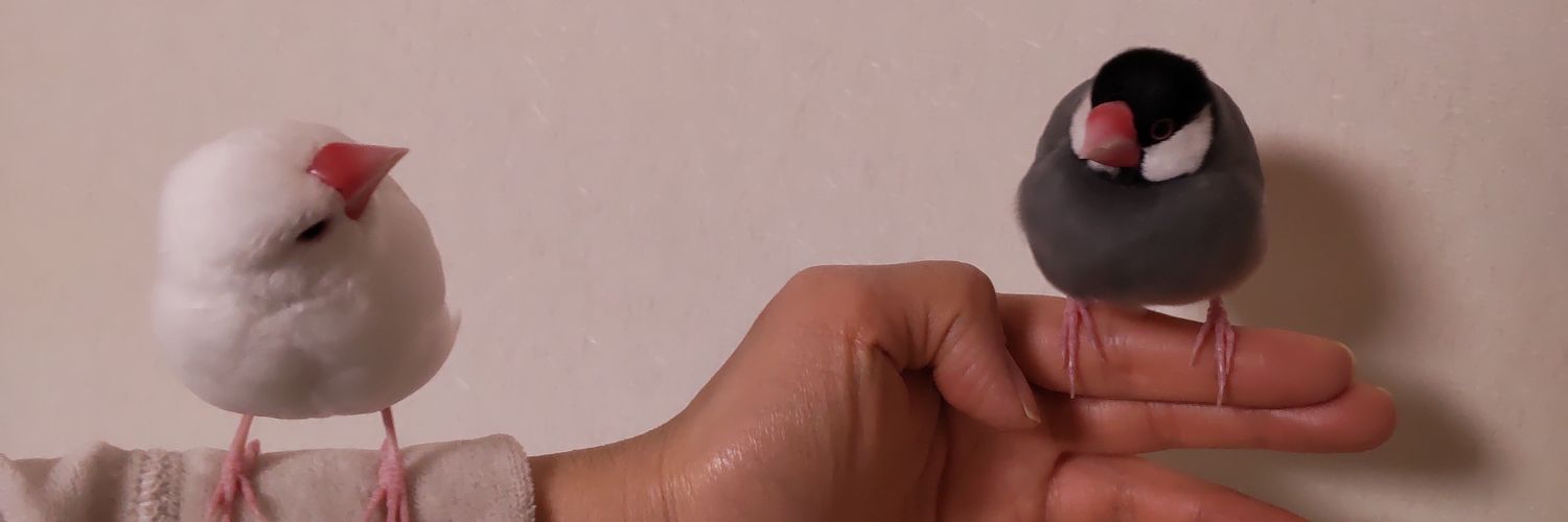 rendyula's profile banner image