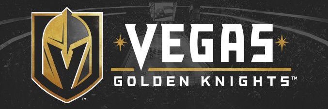 VGK / GIF/ Metal /DUDE! banner