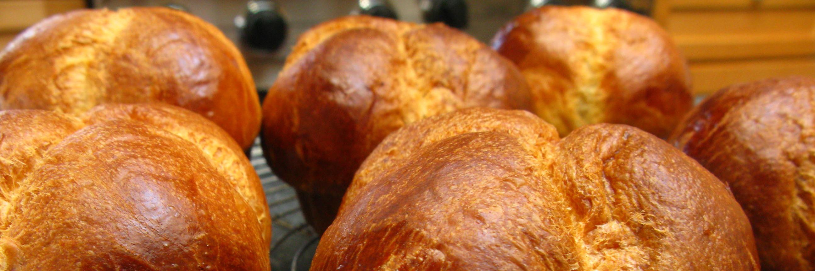 brioche_sa's profile banner image
