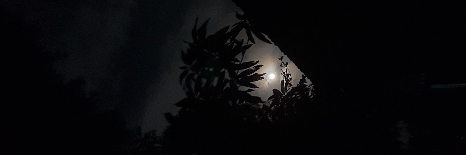 syedsohan27's profile banner image