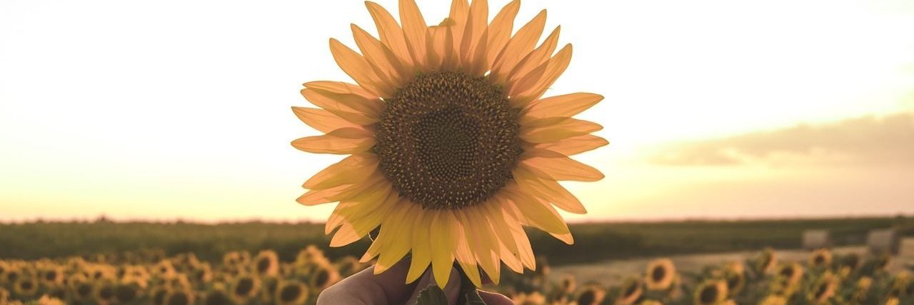 robbwers1975's profile banner image