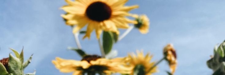 cloudcaroline's profile banner image