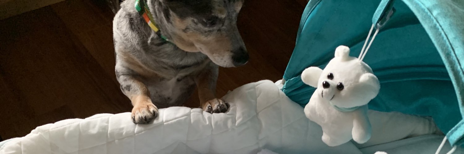 IKS_gc2's profile banner image