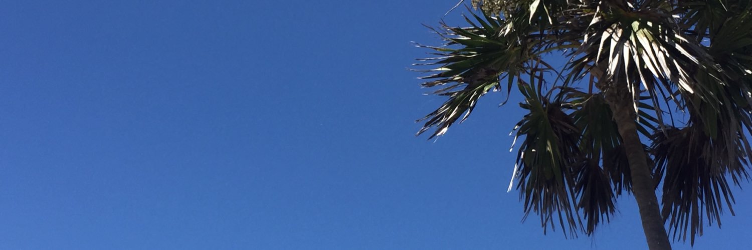 weckybeiss's profile banner image