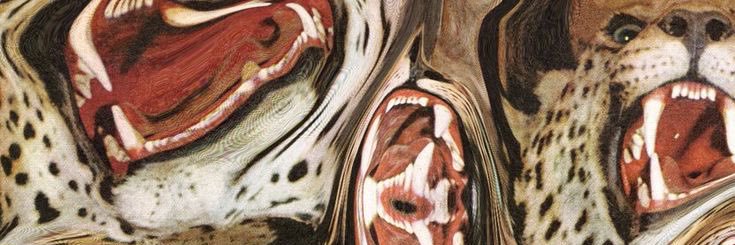 Ren__aa's profile banner image
