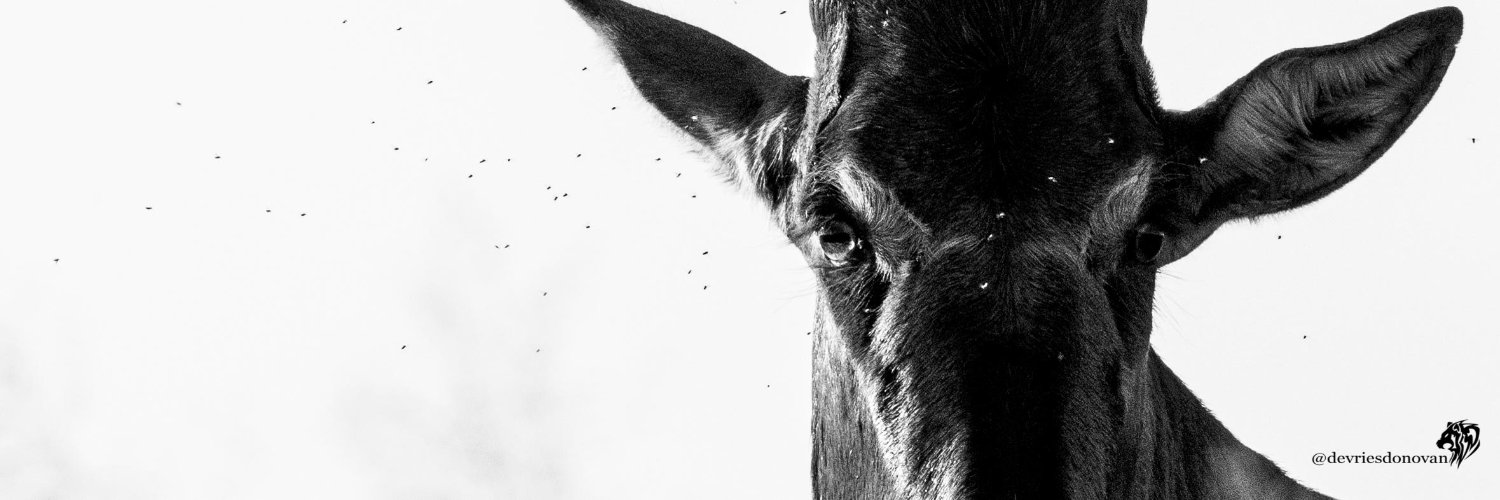 JohnDonovan1983's profile banner image