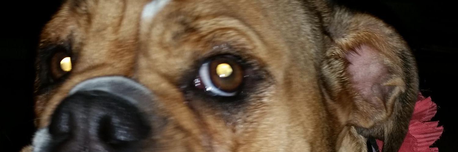 chrispierce928's profile banner image