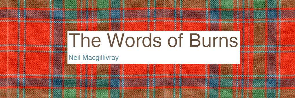 WordsOfBurns's profile banner image