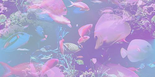 RxdicalD00d's profile banner image