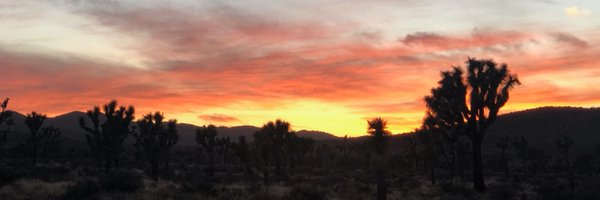 Ruthtevlin Profile Banner