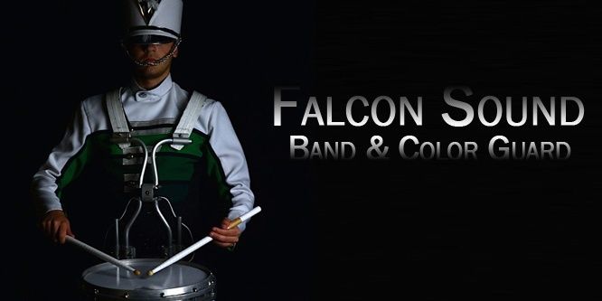2015falconsound's profile banner image