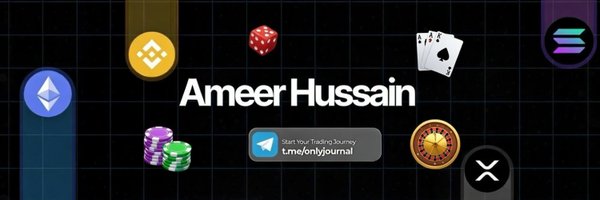 AmeerHussain Profile Banner