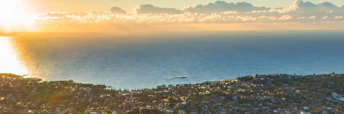 Daniel Mediati banner