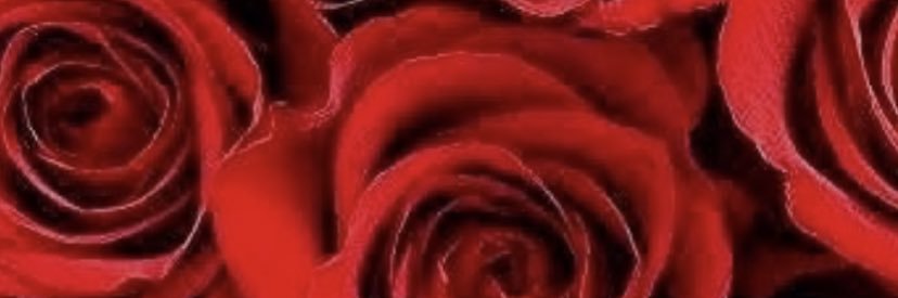 Nomi_Lawrence's profile banner image