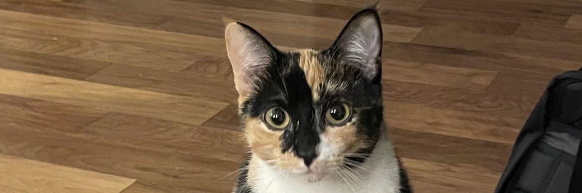 GabbyB_33's profile banner image