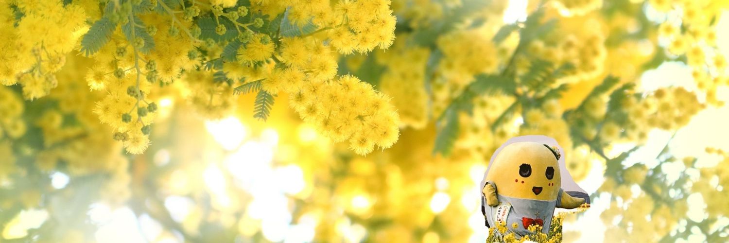 paruru_u's profile banner image