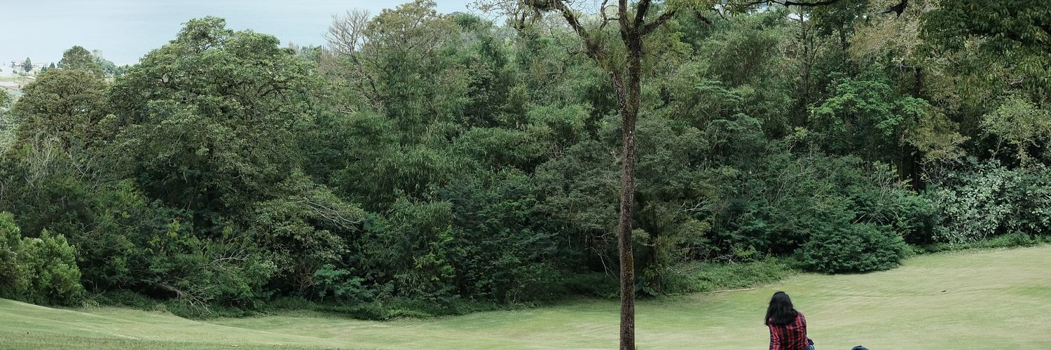 corrypermaata's profile banner image