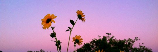 MinzzuhJed's profile banner image