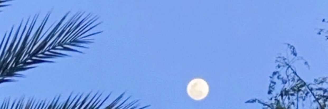 b9i9n's profile banner image