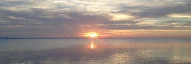 Sarah_Corneau's profile banner image