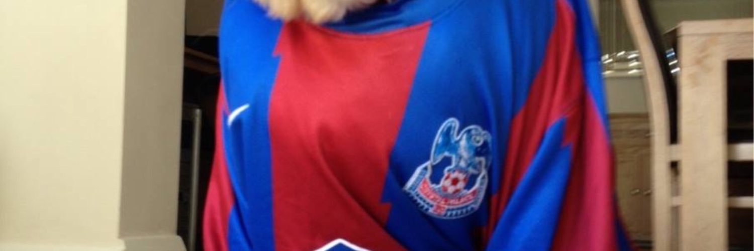 Nick Philpot 🔴🔵 🦅 banner