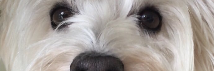 YSMUNL's profile banner image