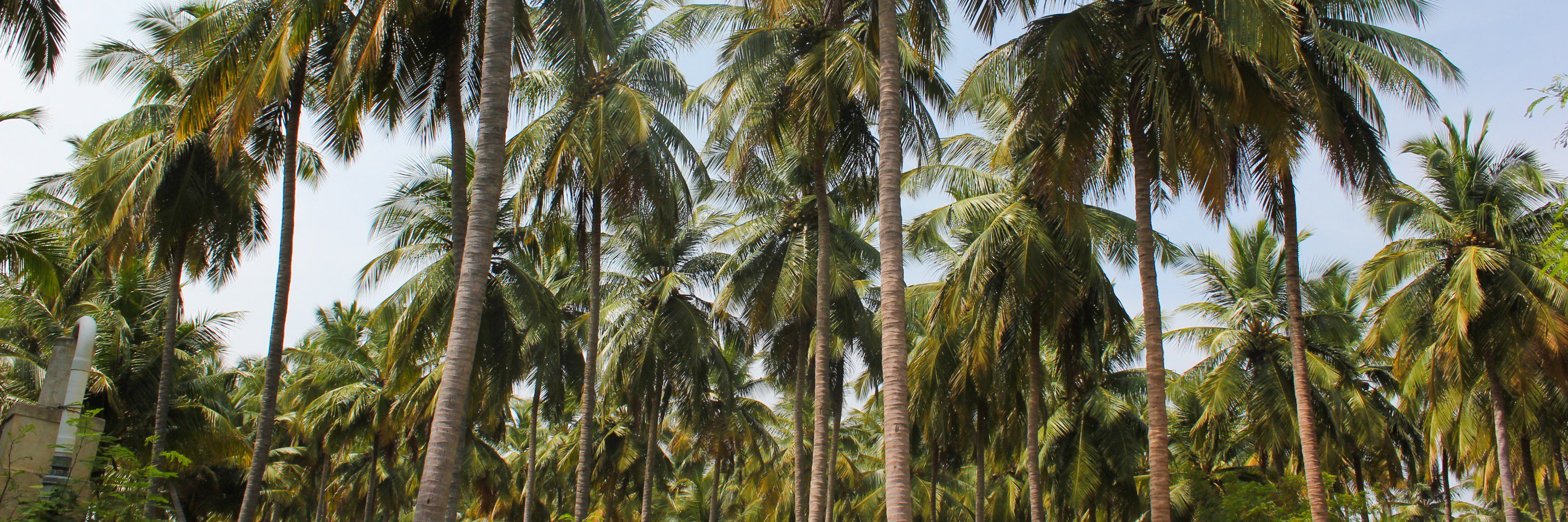 Janani Regen Ecosystem : ஜனனி உயிர்சுழல் வாழ்வியல் banner