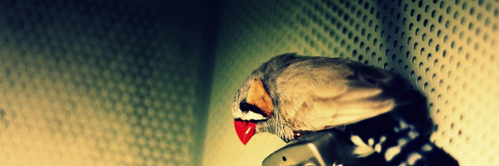 Logan S James banner