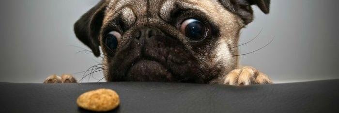 André Duarte banner