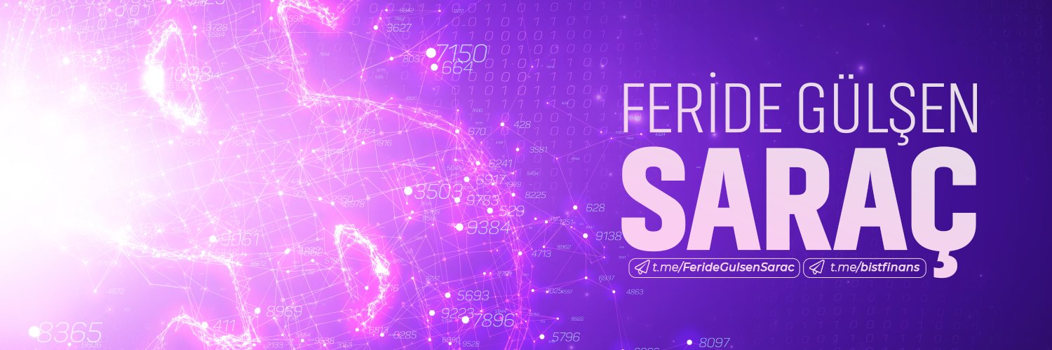 Feridegulsenn's profile banner image