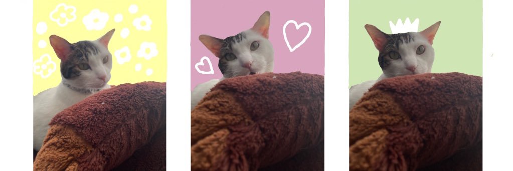 mosamosako's profile banner image