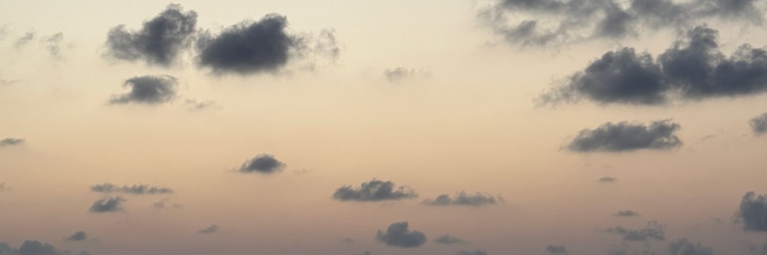 lvmiine's profile banner image
