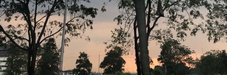 solreyyyeees's profile banner image