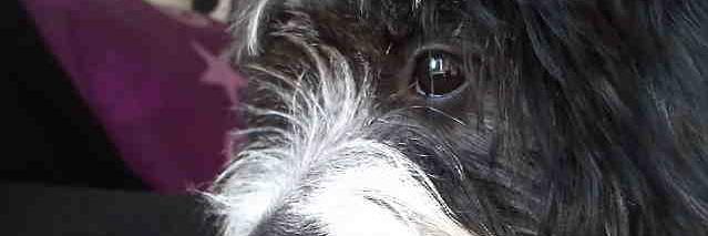 Vhane_'s profile banner image