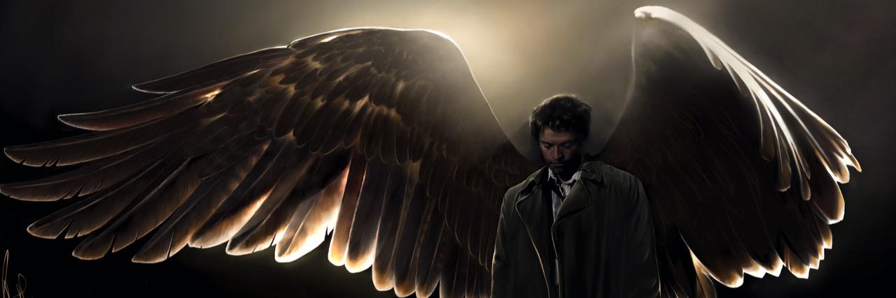 WingsAndSugar's profile banner image