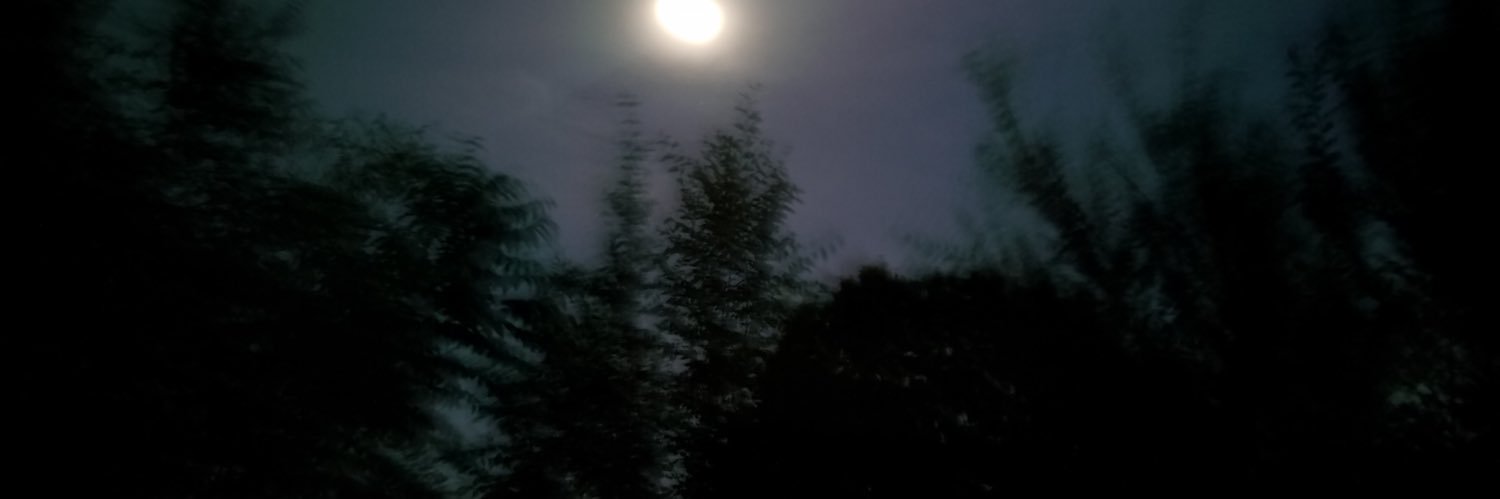 sinc0re's profile banner image
