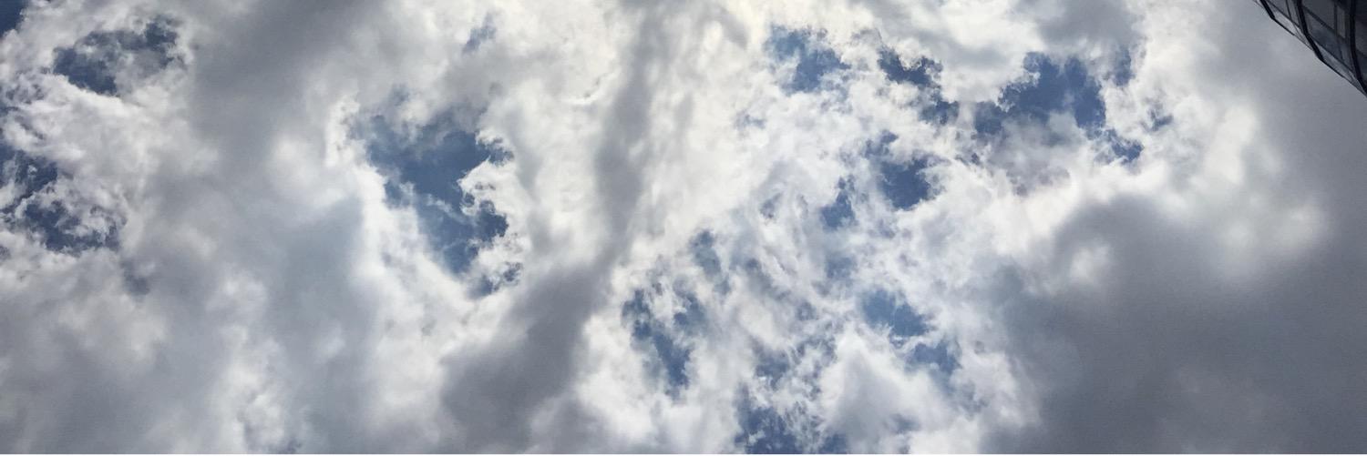 Lisa VanWagner banner