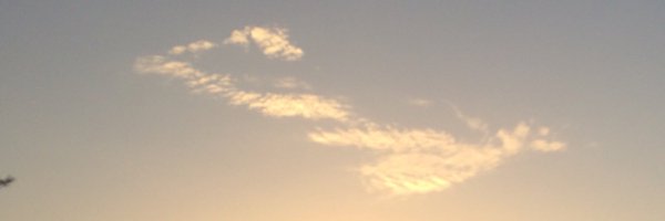 adamas7716 Profile Banner