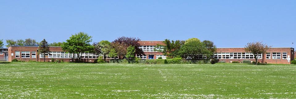 wps_academy's profile banner image
