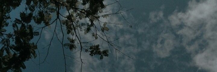 sesy_sa's profile banner image