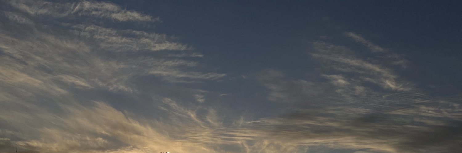 igvii_'s profile banner image