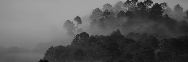 khe58ld Profile Banner