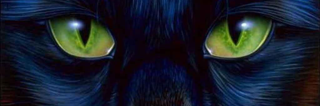 melistraub's profile banner image