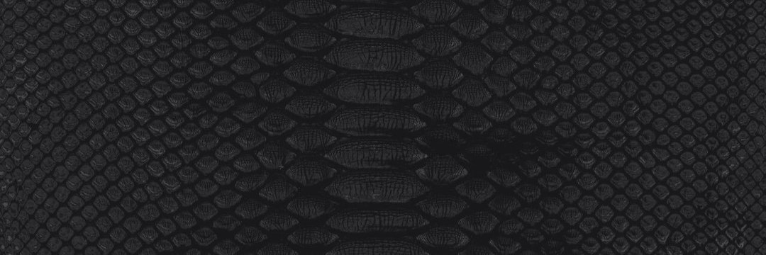 Jacksontxx1's profile banner image