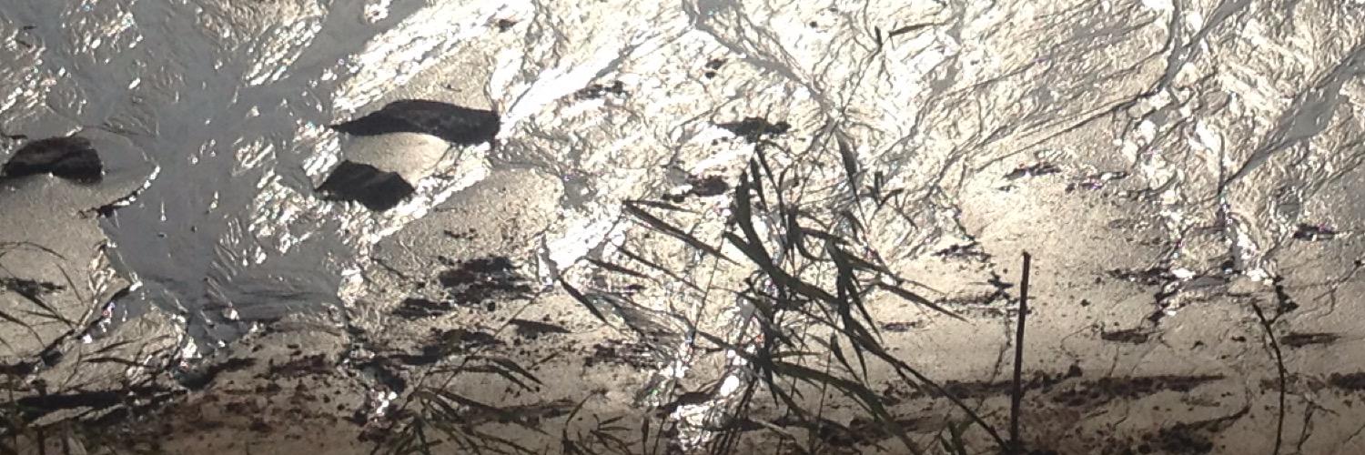 soilforfuture's profile banner image